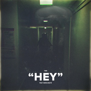 Hey (feat. Senojnayr) - Single