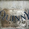Quinny, 2009