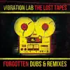 The Lost Tapes (Forgotten Dubs & Remixes) album lyrics, reviews, download
