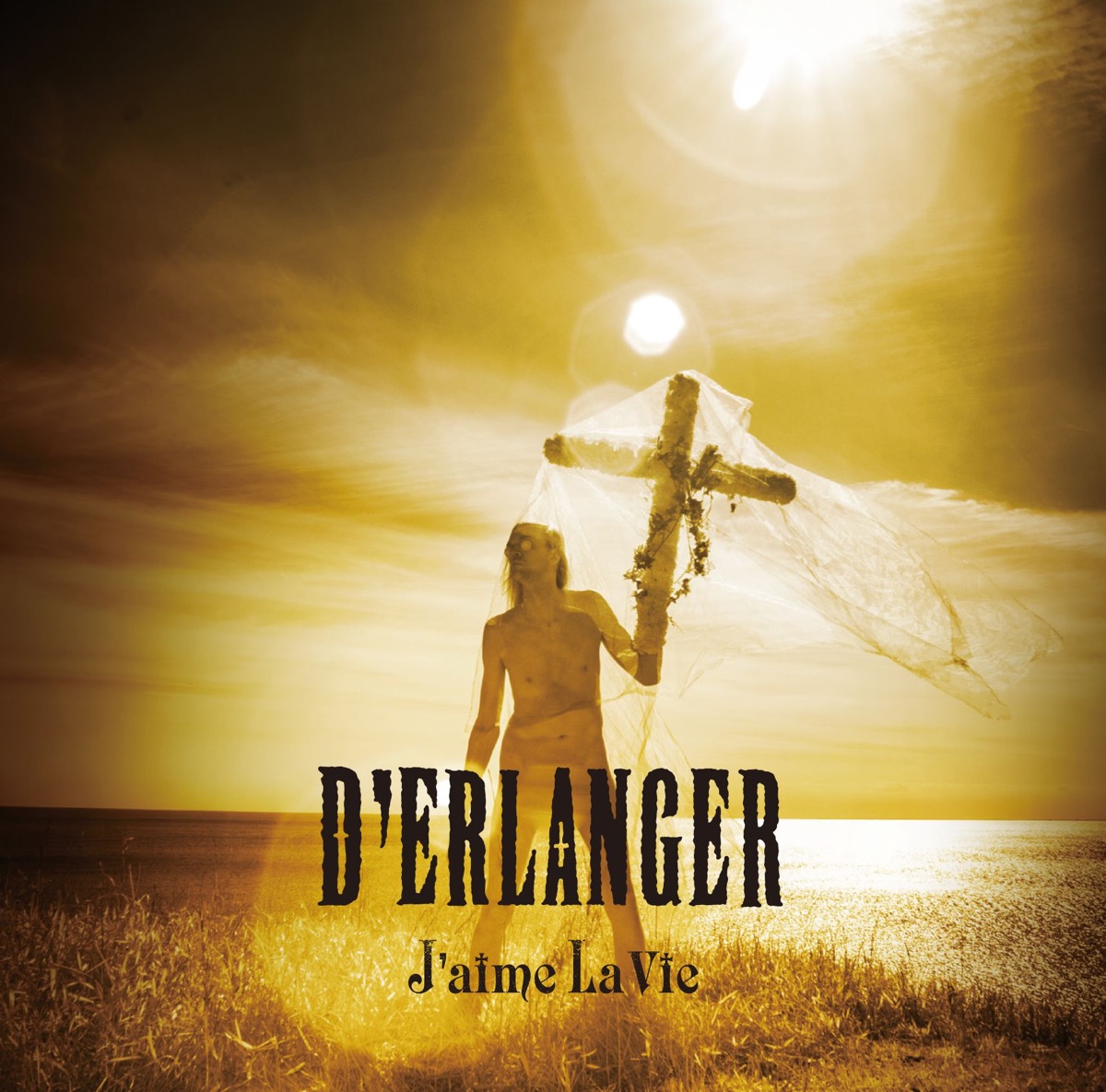 D´ERLANGER（デランジェ）廃盤CD『LA VIE EN ROSE』2nd-