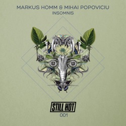 Markus Homm - Insomnis