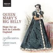 Queen Mary's Big Belly: Hope for an Heir in Catholic England artwork