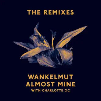 Almost Mine (with Charlotte OC) [Mat.Joe Remix] by Wankelmut song reviws