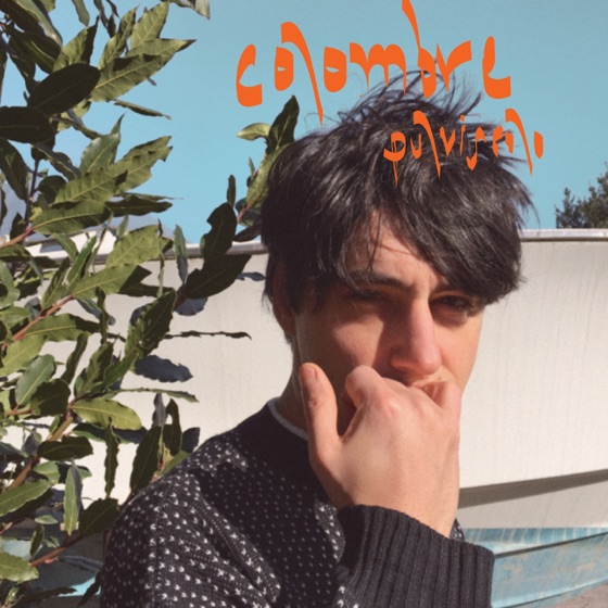 Cover artwork for T.S.O.