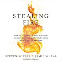 Steven Kotler & Jamie Wheal - Stealing Fire: How Silicon Valley, the Navy SEALs, and Maverick Scientists Are Revolutionizing the Way We Live and Work (Unabridged) artwork