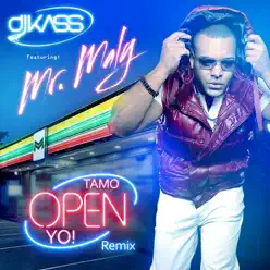 Tamo Open Yo (Remix) [feat. Mr. Maly] - Single - Dj Kass