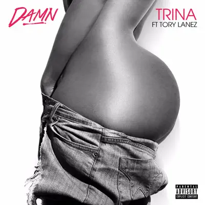 Damn (feat. Tory Lanez) - Single - Trina