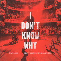 Gavin James - I Don't Know Why (Danny Avila Remix) artwork