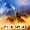 Wild Spirit (Contemporary Native American Music)