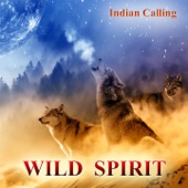 Wild Spirit (Contemporary Native American Music) artwork