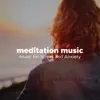 Meditation Music - music for Stress and Anxiety album lyrics, reviews, download