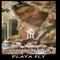 Just Awaken Shaken - Playa Fly lyrics