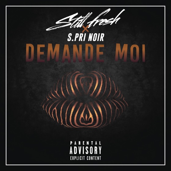Cover artwork for Demande moi (feat. S.Pri Noir)