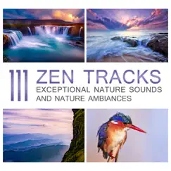 111 Zen Tracks: Exceptional Nature Sounds and Nature Ambiances with Rainforest, Waterfall, Calm Waves & Singing Birds for Relaxation - Yoga Meditation by Various Artists album reviews, ratings, credits