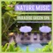 Serenity Relaxation: Total Relax - Wellness Spa Music Oasis lyrics