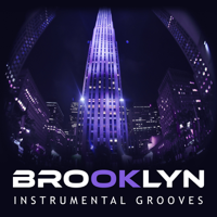Jazz Sax Lounge Collection - Brooklyn Instrumental Grooves: Fantasitc City Jazz, Sax Music, Relaxing Background, Ambient Lounge, Smooth Cocktails Time artwork