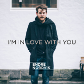 I'm in Love with You - Endre Nordvik
