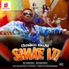 Shake It - Single