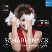 Schabernack - A Treasure Trove of Musical Jokes artwork
