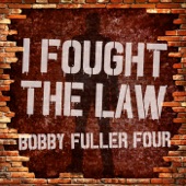 I Fought the Law artwork