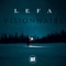 Visionnaire - Lefa lyrics