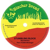 Stumbling Block (feat. Freddie McGregor) artwork