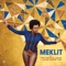 I Want To Sing For Them All (feat. Andrew Bird) - Meklit lyrics