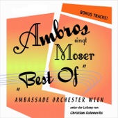 Ambros singt Moser artwork