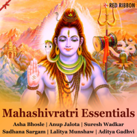 Various Artists - Mahashivratri essentials- Gujarati artwork