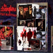 The Stranglers - N'emmenes pas Harry