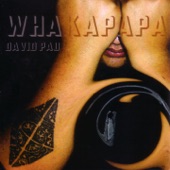 Whakapapa artwork