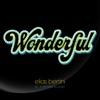 Wonderful (feat. Camila Koller) - Single