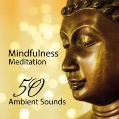 Mindfulness Meditation: 50 Ambient Sounds - The New Age Spirituality, Tibetan Bowls & Nature Music for Asian Zen Meditation and Yoga by Mindfulness Meditation Universe album reviews, ratings, credits