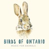 Birds of Ontario - Lake Ontario