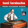 Toni Iordache, Vol. 2 (Țambal), 2000