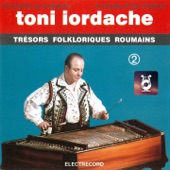Toni Iordache - Variațiuni Pe Tema Foaie Verde Și-O Crăiță