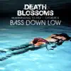 Bass Down Low - Headbanging to DEV & the Cataracs - EP album lyrics, reviews, download