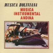 Música Instrumental Andina (Música Boliviana) artwork
