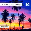 Stream & download What You Said (feat. Lokka Vox) [Remixes] - EP