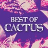 Best of Cactus, 2017
