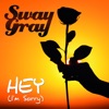 Hey (I'm Sorry) [Remixes]