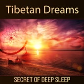 Tibetan Dreams: Secret of Deep Sleep, Tibetan Bowls, Native American Flute, Lucid Dreaming Hypnosis artwork