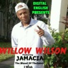 Digital English Presents Willow Wilson - Single