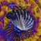Universal Vibration, Pt. 4 (Patterns) - Jay Tausig lyrics