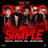 Simple (feat. Cosculluela, Nengo Flow & Baby Rasta y Gringo) - Single