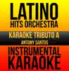 Instrumental Karaoke Series: Antony Santos (Karaoke Version) album lyrics, reviews, download