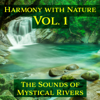Harmony with Nature Vol. 1: The Sounds of Mystical Rivers, Natural Calm, Serene Inner Bliss, Morning Water Sounds, Ambient Steams for Relaxation & Deep Sleep - Serenity Nature Sounds Academy