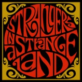 Strangers In A Strange Land - The Taxidermist