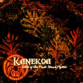 Kanekoa - Hypnotize