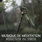 Harmonie des précipitations - Méditation Sanctuaire de Guérison lyrics